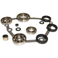 USA Standard Transfer Case BW4411 Bearing Kit 2003 Ford Lincoln BW4411 T-CASE BEARING KIT 2003 FORD