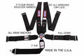 SFI 16.1 CAM-LOCK HARNESS 3' PULL D