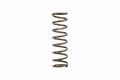 SINGLE SPRING