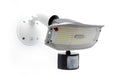 OUTDOOR MOTION SECURITY LIGHT