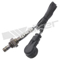Walker Products Inc. - auto part