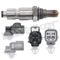 Walker Products Inc. - auto part