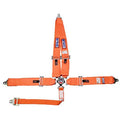 SFI 16.1 CAM-LOCK HARNESS 2' PULL D