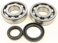 All Balls Racing 87-90 Suzuki LT-500R Crank Shaft Bearing Kit