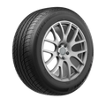 225/55R16 95V TPTOURINAS DT