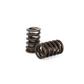 Kelford CHEV / HOLDEN V8 HI-PERF SINGLE SPRING SET