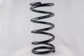 Conventional Spring 11in x 5.5in x 300lb