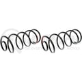 COIL SPRINGS