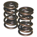 Dual Valve Springs - 1.500