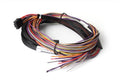 Haltech Platinum PRO/Sport Plug-In 8ft Auxiliary I/O Harness