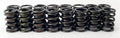 COMP Cams Valve Springs 1.525in Outer W/