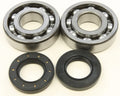 All Balls Racing 87-88 Kawasaki KXF250 Tecate Crank Shaft Bearing Kit