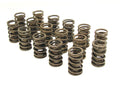 1.430 Dia. Dual Valve Springs- .697 ID.