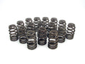 1.430 Dia. Dual Valve Springs- .697 ID.