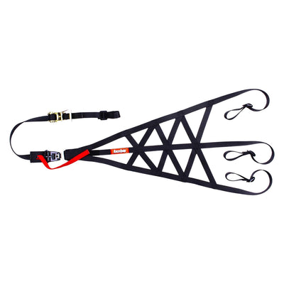 Rollcage Net Side Black SFI 37.1