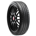 Springfield Marine Company auto part detail