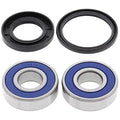 All Balls Racing 85-89 Yamaha YFM200 Moto-4 Differential Bearing & Seal Kit Rear