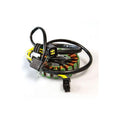 Arrowhead Suzuki Stator Assy