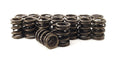 Outer Valve Springs With Damper- 1.476 Dia.
