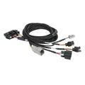 Haltech Nexus Universal Plug-in IO Expansion Harness - 2.5m (8ft)