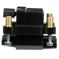 DELPHI auto part detail