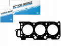 Engine Cylinder Head Gasket - 61-54310-00