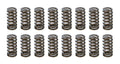 PAC RACING SPRINGS springs