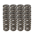 PAC RACING SPRINGS springs