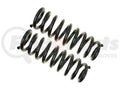 EXPEDITION (F) 1007 COIL SPRING SET