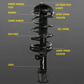 ECONO-MATIC STRUT ASSEMBL