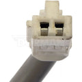MOTOR/REGULATOR ASSEMBLY
