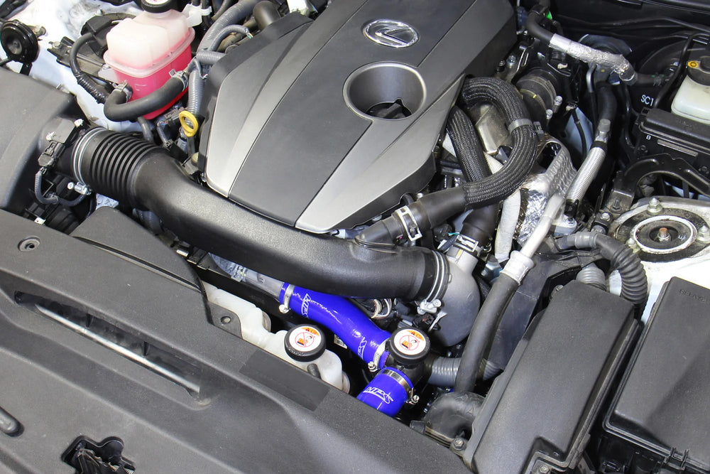 Radiator Hose