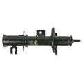 OESPECTRUM PREMIUM STRUT