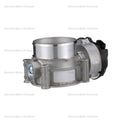 STANDARD IGN throttle body