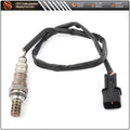 O2 OXYGEN SENSOR