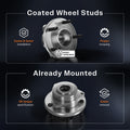 APF 041650 0430 155 GAPLESS C-33 ST