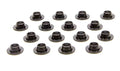 PAC RACING SPRINGS springs