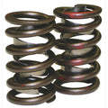 Single Valve Springs - 1.265