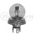 MINIATURE LAMP G-13