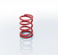Eibach Coilover Spring