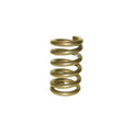 5in OD X 8in Tall Rear Spring