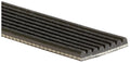 V-RIBBED BELT