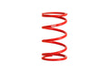 Eibach springs detail