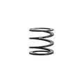 Eibach springs close-up