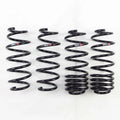 RSR Forged springs detail