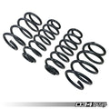 D+ Lowering Springs, 8P A3 3.2