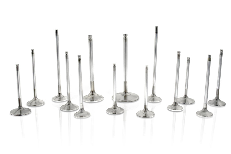 SBC C/P 1.625 Exhaust Valves