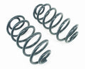 ~(19 lbs. 20X12X6)~ TJ Rear 2 Coil Spring Pair 97-02 Wrangler TJ TeraFlex