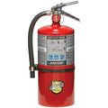 BUCKEYE FIRE auto part detail