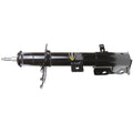 OESPECTRUM PREMIUM STRUT